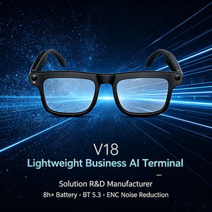 AI Smart Glasses BT 5.3 ENC Noise Reduction