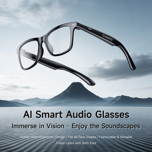 OEM Hall Effect Switch AI Smart Glasses With Offline Translation